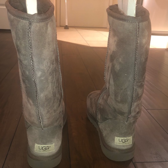 UGG Shoes - UGG classic tall boot